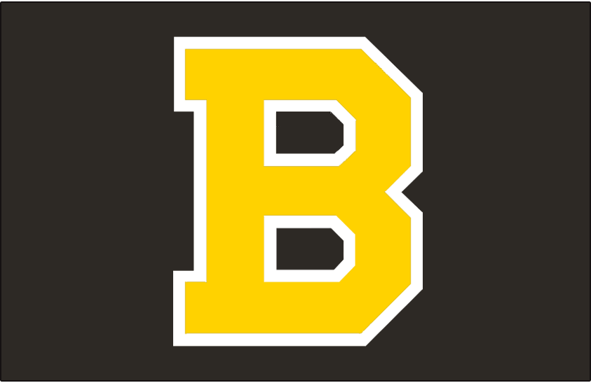 Boston Bruins 1948-1955 Jersey Logo t shirts DIY iron ons